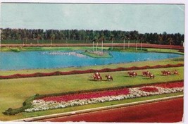 Florida Postcard Miami Hialeah Race Course Parading To The Post - $2.96