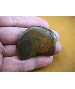 R809-2) genuine fossil Petrified Wood specimen Queensland Australia orga... - €13,53 EUR