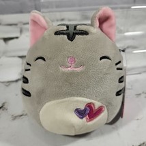 Squishmallows Carson Tabby Cat Plush Heart Valentine Kitty Kitten W/ Tags  - £19.54 GBP