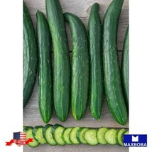 Non Gmo 15 Cucumber Seeds Japanese Long Vegetable Heirloom Home Garden - £6.64 GBP