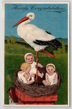 Stork With Babies In Nest On Chimney Postcard B45 - £5.54 GBP