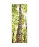 Climbing Sticks 20&#39; Tree Stand Steps Heavy Duty Steel Pinned Sections NEW - €95,24 EUR