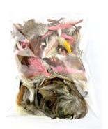 Craft Feathers Multi-Color Brown Pink Yellow White  - £14.40 GBP