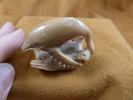 (tb-whale-6) tan Humpback Whale Tagua NUT palm figurine Bali carving lov... - $38.56