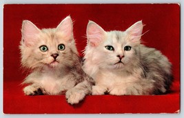 Postcard Mr. &amp; Mrs. Fluffy Light Gray Striped Tabby CATS Kitty On Red - £3.52 GBP