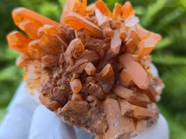 Tangerine Quartz Specimen Natural Crystals Cluster (TN26) - $39.59