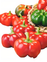 Item image 1 image 1