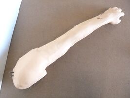 Nasco Life/Form IV Injection Training Arm - $61.06