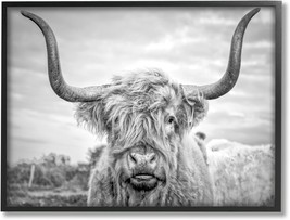 Stupell Industries Black And White Highland Cow Photograph, 16.00&quot; X 20.00&quot; - £30.05 GBP