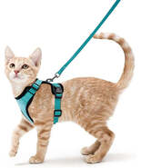 Cat Harness and Leash for Walking, Escape Proof Soft Adjustable Vest Har... - $10.43 CAD+