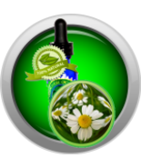 Chamomile (German, Matricaria Chamomilla) Essential Oil - $8.00+