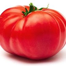 Giant Belgium Tomato 10 Seeds Beautiful Garden Fresh USA Garden - $11.95