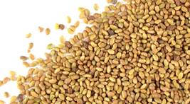 Seeds, Alfalfa, 1/4 Pound, (4 OZ), Medicago sativa, lucerne, sprouting, sprouts. - £31.85 GBP