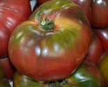 Black Krim Tomato Seeds 50 Indeterminate Garden Vegetables Sauce Fast Sh... - $8.99