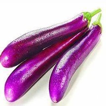 Long Purple Eggplant | Heirloom | Non-GMO | Fresh Garden, 700 Seeds D - $12.35