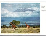 Giraffes Below Mount Kilimanjaro Tanzania Africa Continental Postcard O21 - $4.90