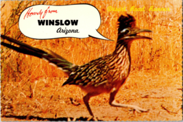 Vtg Postcard Greetings Winslow Arizona Desert Road Runner, Clown of the West - £5.16 GBP