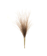 Grass Plume Bundle (Set of 2) - 563394 - $113.89 CAD