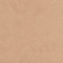 12 X 12 Cardstock Kraft - $35.99
