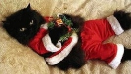 Meowy Christmas - Cat Fridge Magnet #5 - £14.34 GBP