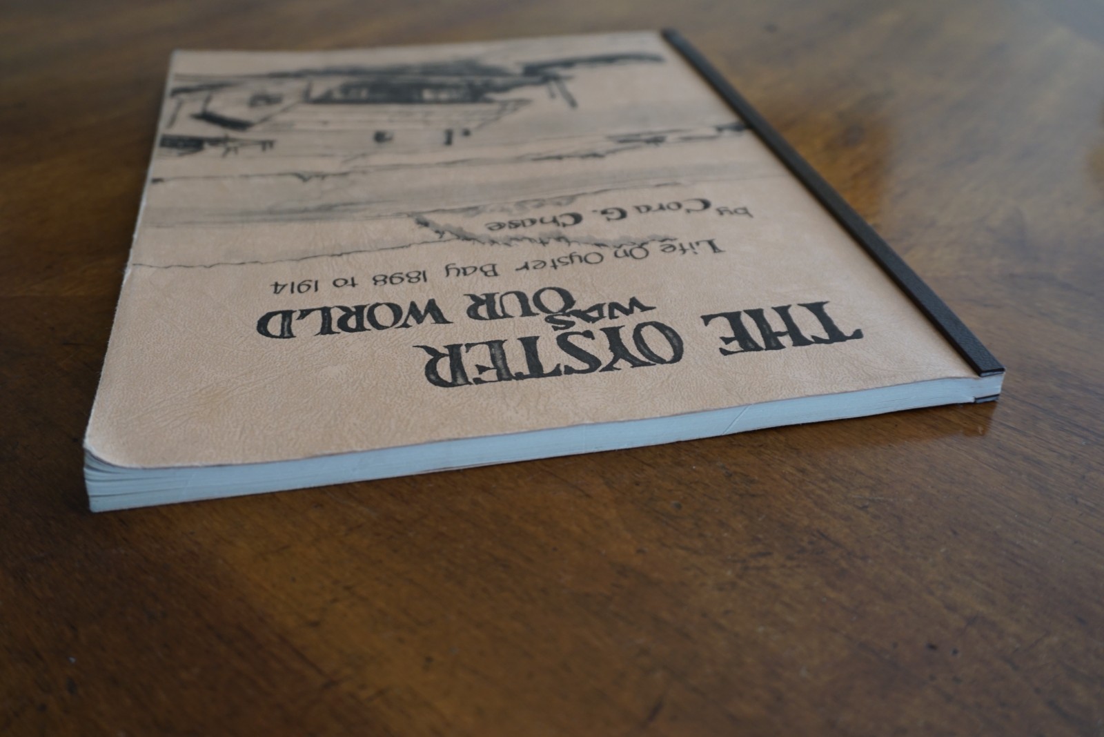 The Oyster Was Our World Life on Oyster Bay WA 1898-1914 2nd Printing Cora Chase Item image 6