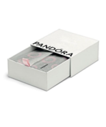 Pandora Gift Box XL Bracelet Box Pandora packaging Brand New necklace 20... - £9.23 GBP