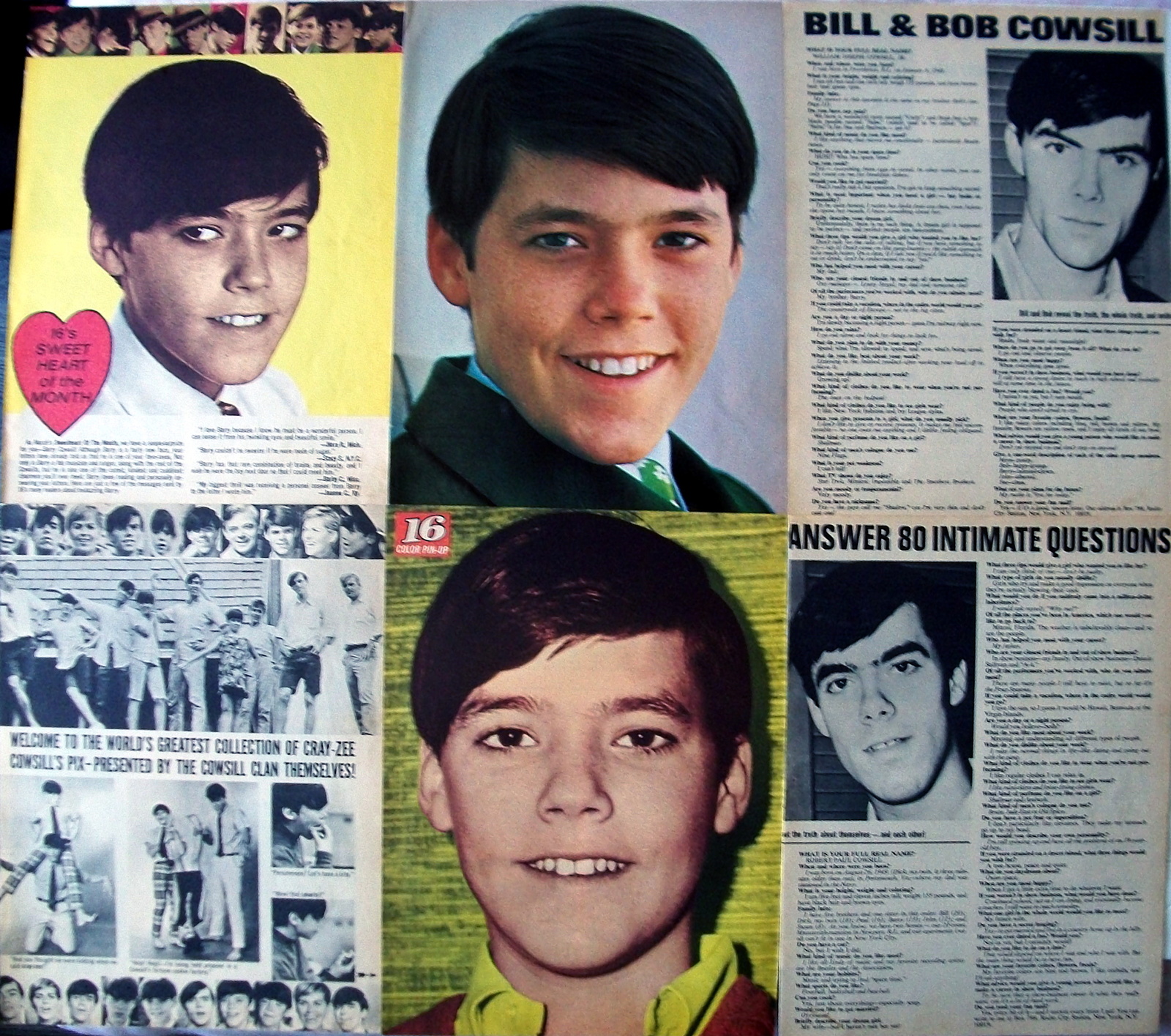 THE COWSILLS ~ Twelve (12) Color and B&amp;W Clippings, Articles, PIN-UPS fr... - $6.67