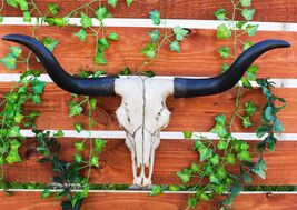 Large 27&quot;W Longhorn Cow Skull Wall Hanging Sculpture Plaque Wild Bull St... - €64,24 EUR