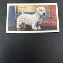 VTG 1936 Gallaher Dogs Sealyham Terrier #35 of 48 Tobacco Card - £5.32 GBP