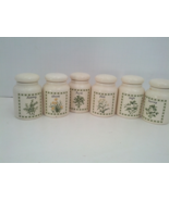 Herbs and spices storage container 6 piece set rosemary parsley basil sa... - $24.70