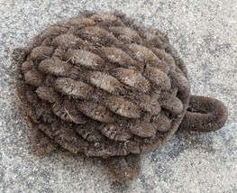 Turtle Shaped Boot / Mud Scraper Brown Natural Coil Fiber Metal Wire - $32.19