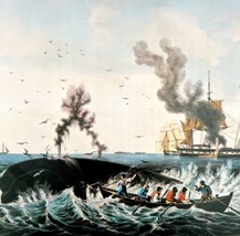 The Whale Fishery Hunt 1955 Currier &amp; Ives Color Plate Nautical Print DWEE35 - £15.97 GBP