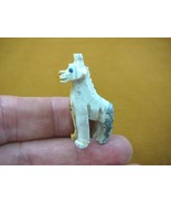 (Y-GIR-27) GIRAFFE African animal gem stone carving SOAPSTONE PERU love ... - $160.04 MXN