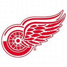 NHL Detroit Red Wings Collectible Ticket Stubs - £6.41 GBP