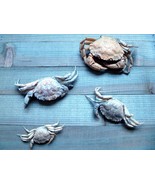 Preserved European Green Shore Crabs from New England - $241.74 MXN
