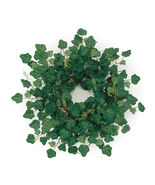 Ivy Leaf Foliage Wreath 19&quot;D - 800366 - $72.71 CAD
