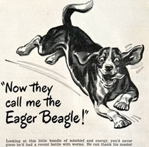 Sergeant&#39;s Dog Care Products Eager Beagle 1948 Advertisement Pets DWEE17 - £11.80 GBP