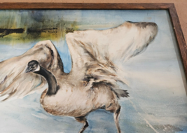 Antique Original Asian Watercolor Painting Swan Goose Signed M Tasue 31 ... - $2,712.34