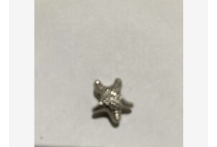 Starfish Slider Pendant - £19.97 GBP