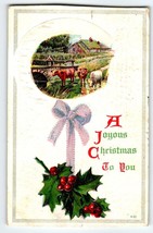 Christmas Postcard Cattle Cows On Farm Holly Vintage 1910 Embossed Series 630 - £7.58 GBP