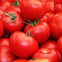 USA Seller Floradade Tomato Seeds Organic - $3.96