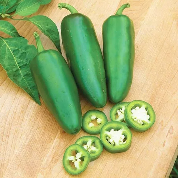 100 Hot Jalapeno Pepper Seeds Capsicum Organic S044 Fresh Seeds - $5.98