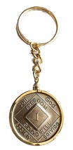 NA Medallion Holder Keychain 18k Gold Plated Narcotics Anonymous Key Chain - $12.86