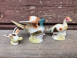 Vtg Miniature Painted Bone China Pheasants Bird Set Of 3 Souvenir Grotto - £15.78 GBP