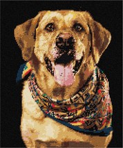 Pepita Needlepoint kit: Dog with Shawl, 10&quot; x 12&quot; - £69.11 GBP+