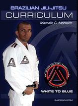 BJJ White to Blue Curriculum 4 DVD Set with Marcello Monteiro - $219.97