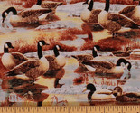 Canadian Geese Ducks Birds Fall Swamp Lake Canada Cotton Fabric BTY D465.09 - £8.75 GBP