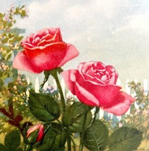 Rose Pink Lithograph 1920 Flower Print Myron Van Brunt Floral Garden Art DWDD16 - £39.17 GBP