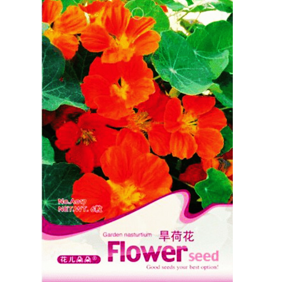 Red Nasturtium Shamrock Plant Tropaeolum Majus 6 Seeds Garden - $2.94
