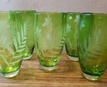 Etched Crate And Barrel Hand Blown Lime Green Glasses 6¼” Tall Set Of 5 - £39.31 GBP